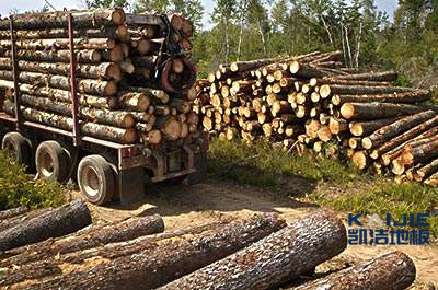 運(yùn)動木地板的色差，這是科學(xué)的解釋！-籃球地板網(wǎng)