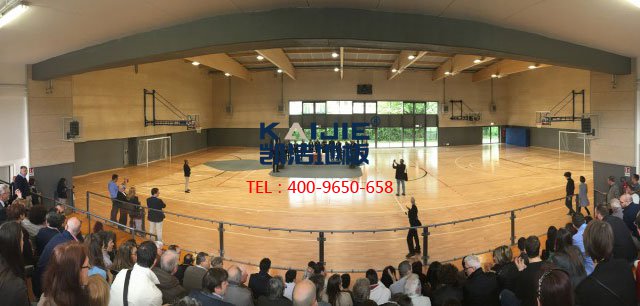 運(yùn)動(dòng)木地板廠家,籃球地板廠家,體育木地板廠家