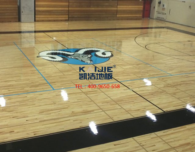 運(yùn)動(dòng)館專(zhuān)用運(yùn)動(dòng)木地板功能介紹——?jiǎng)P潔地板