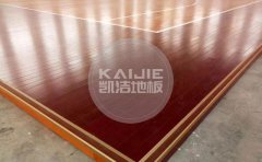 國內(nèi)體育運(yùn)動(dòng)地板品牌哪家質(zhì)量好-體育地板品牌