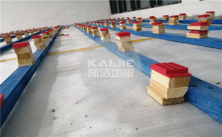 江西九江都昌第五小學(xué)體育館木地板案例—?jiǎng)P潔籃球地板廠家