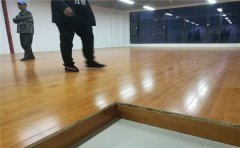 壁球館木地板尺寸結(jié)構(gòu)標準-壁球木地板