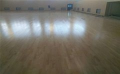 健身房、羽毛球館為什么用專用體育木地板-體育木地板
